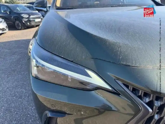 Lexus Nx 450h+ luxe 4wd my25 — photo 13
