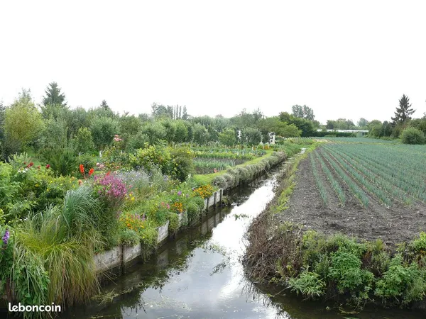 Terrain hortillonnages