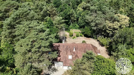 Propriété 13 pièces 261 m²