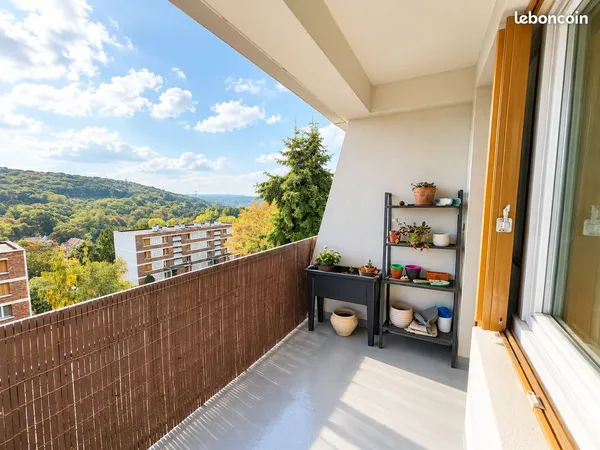 Appartement traversant lumineux avec balcon et vue dégagée, très bon état - Bièvres