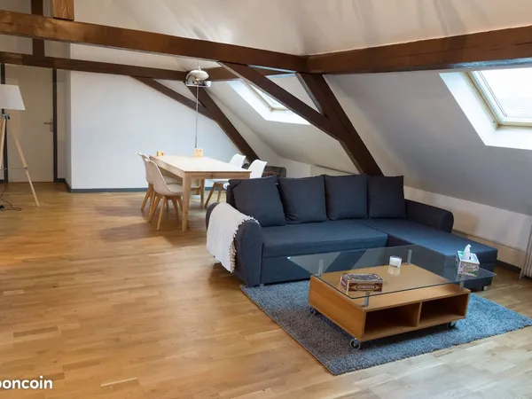 Grand T3 meublé - 70 m² Carrez / env. 100 m² au sol - 2 chambres + bureau