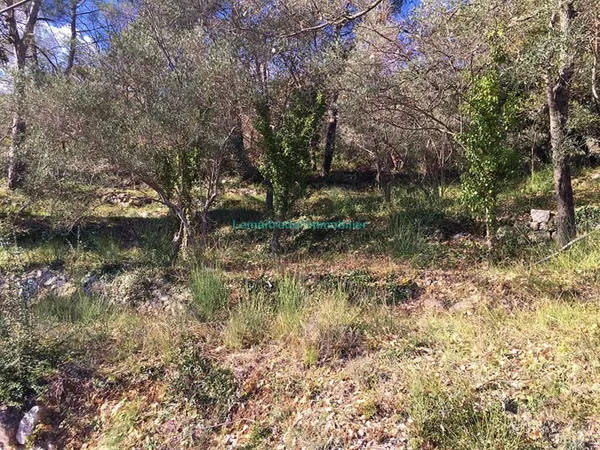 Terrain constructible Saint Cezaire Sur Siagne 5762 m²