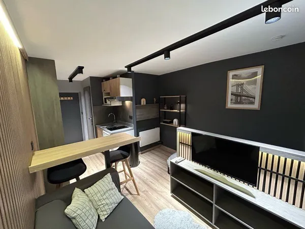Studio standing meublé Montbéliard centre