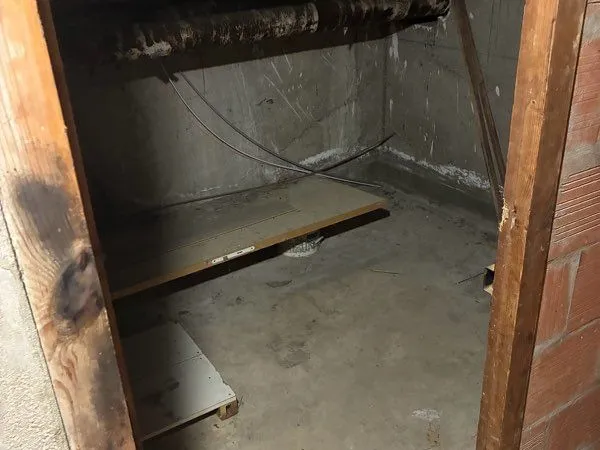 Cave saine 6m², résidence sécurisée Talence