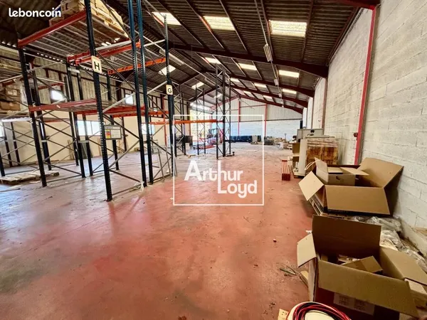 Local d'activité 785 m²