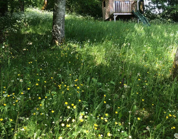 Maison 6 pièces
