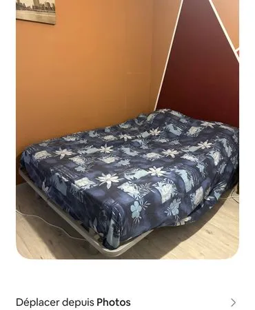 Grande maison en colocation avec des animaux