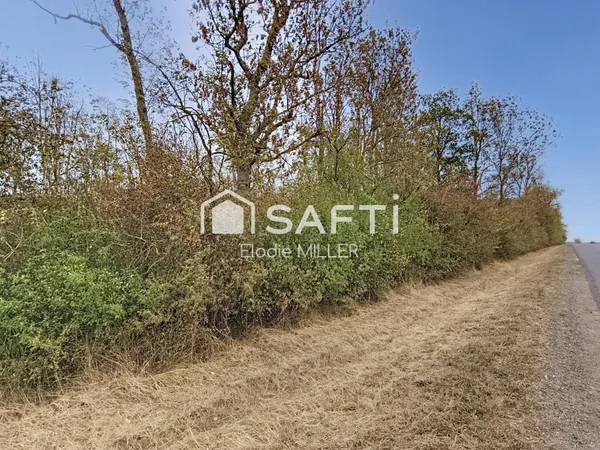 5 855 m² de parcelle boisée