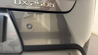 Lexus Ux 250h Pack Business Plus 2WD — photo 23