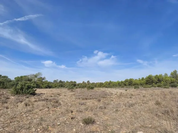 Terrain 360512 m²