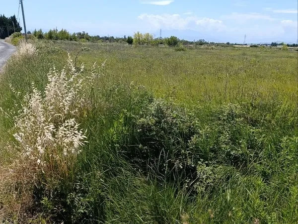 Terrain agricole ou loisirs