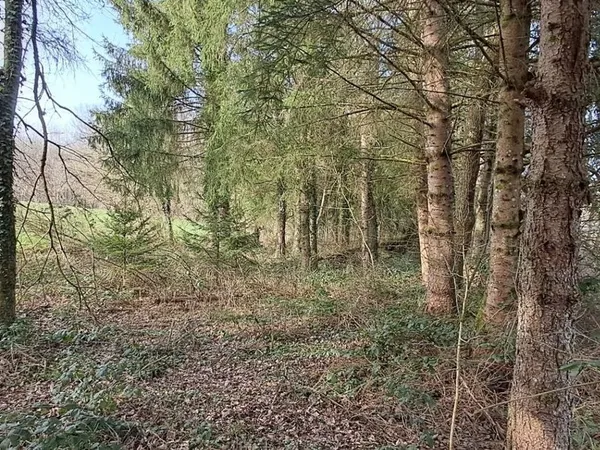 Terrain 2455 m² Gernelle