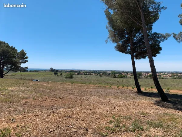 Terrain agricole 4 122 m² - Vue étang de Thau - Loupian