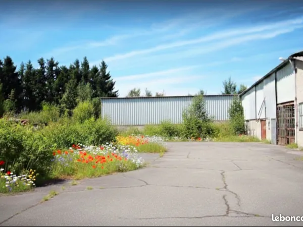 Parking/box 5870 m² Saint-Jeures