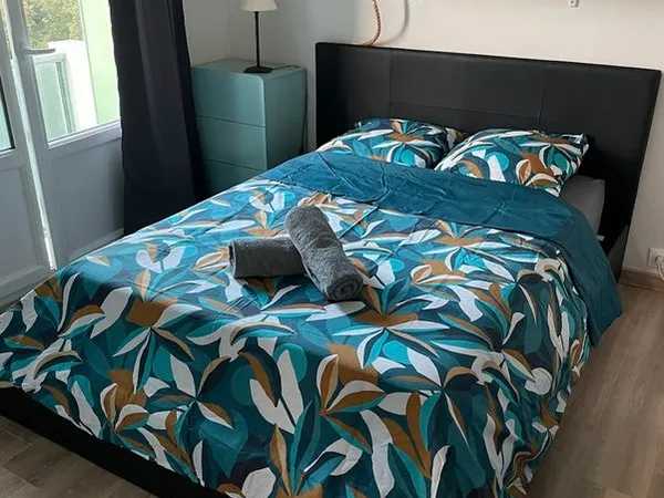 Colocation - Chambre dans appartement type Loft