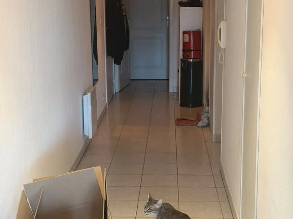 colocation de 3 toulouse 1 chambres disponibles
