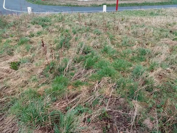 Terrain constructible 637 m²