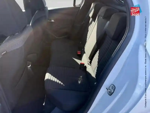 Peugeot 208 1.5 bluehdi 100ch s&amp;s active — photo 11