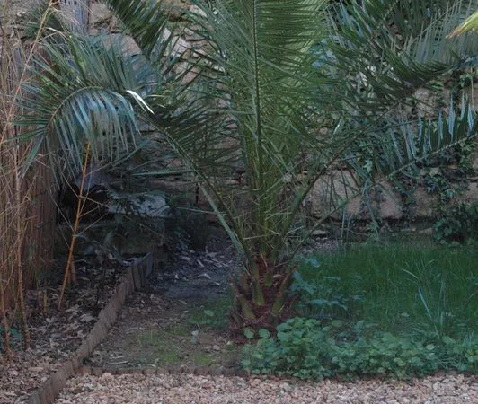 2PIECES-1CHBRE-35.20m2-1ETADE/3RDJ-INSTITUT AGRO ENSAM -FAC PHARMA -CREPS