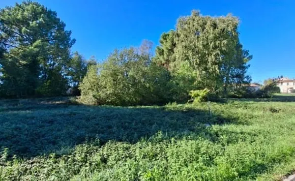 Terrain 551 m²