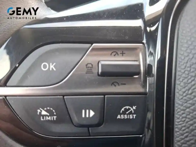 Peugeot 308 phev 180 e-eat8 — photo 28