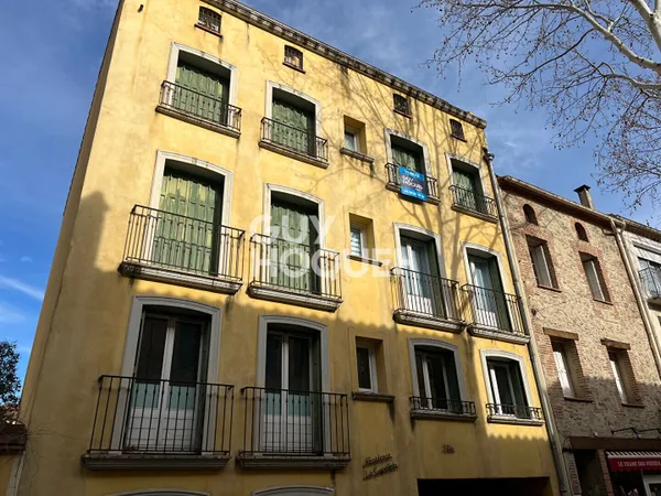 Appartement Duplex Ceret 4 pièce(s) 90 m2