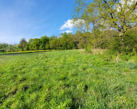 Terrain 5693 m²
