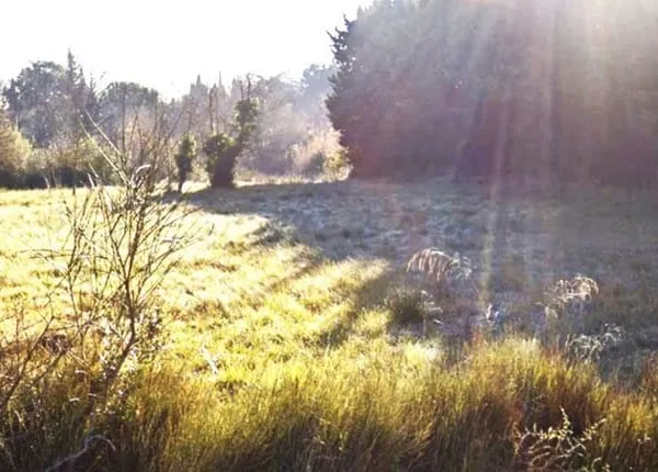 Terrain 2745 m²