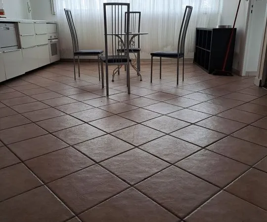 Appartement de 54m2 à louer sur Grenoble