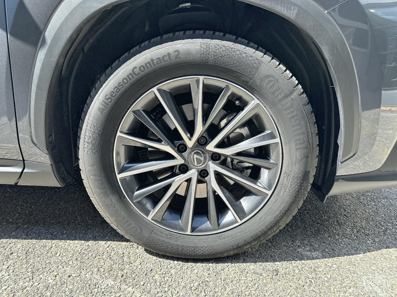 Lexus Nx 350h luxe 2wd my25 — photo 14