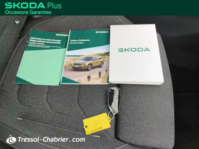 Skoda Kodiaq 2.0 tdi 150 ch scr dsg7 7pl — photo 21