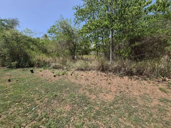 Terrain constructible 1620 m²