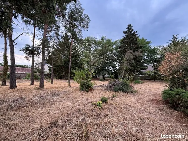 Terrain 1 000 m² Chatellerault