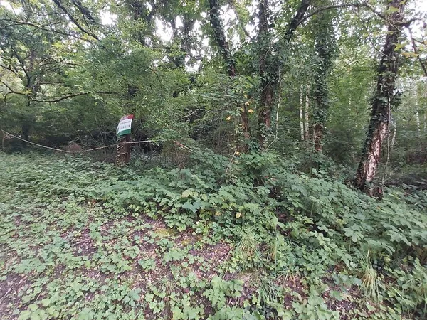 Terrain de 952m2 a 10mn de blois