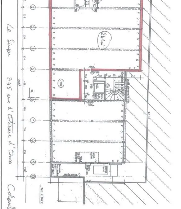 Photo 4