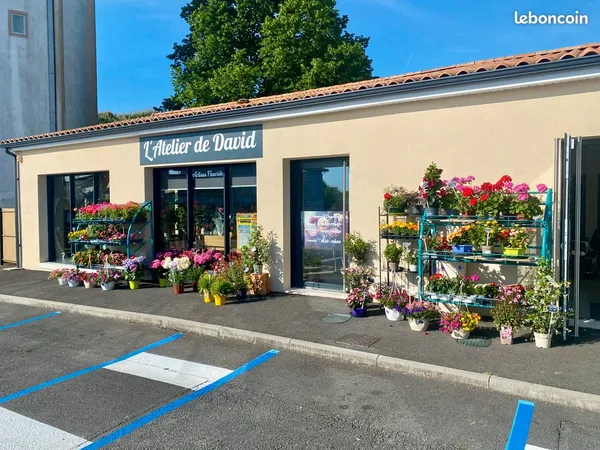 Boutique Fleuriste Clé en main