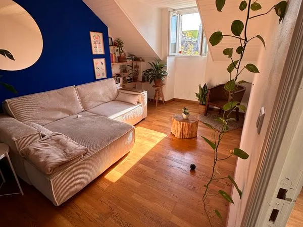 Appartement calme, meublé et rénové 45m2 carrez - quartier olivettes / hôtel dieu / madeleine