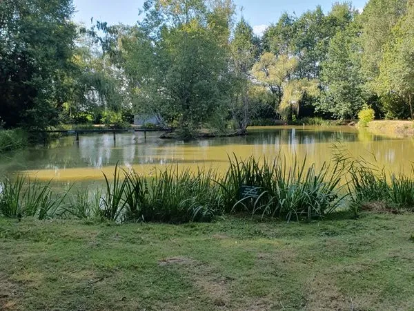 Etang terrain de loisir
