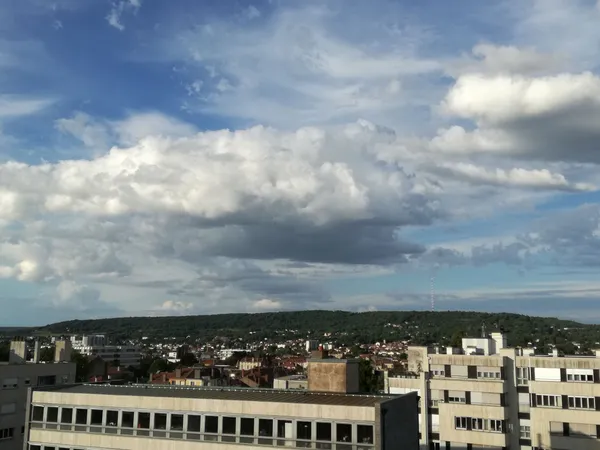 Loue F1 bis, Nancy centre