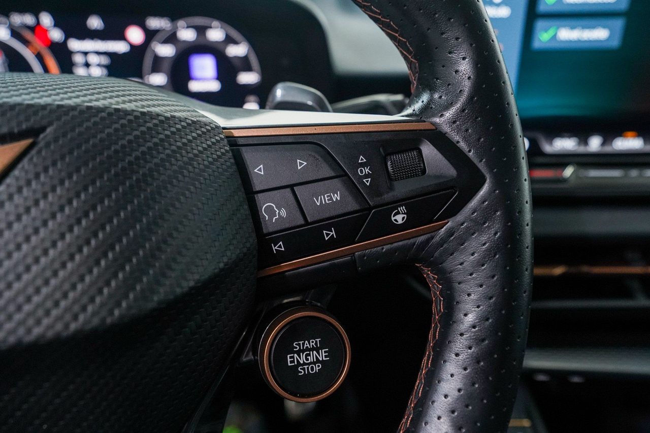 Cupra Terramar — photo 20