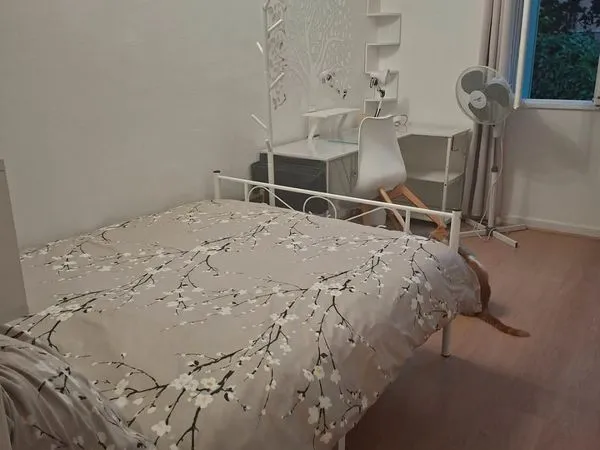 Jolie chambre meublée étudiante chez l'habitante Lyon 5