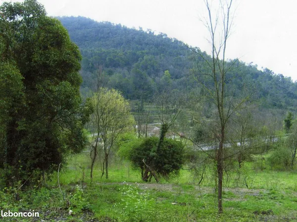 Grand terrain constructible de 9125m2,cote d'azur BARGEMON 83830 divisé en 4 parcelles