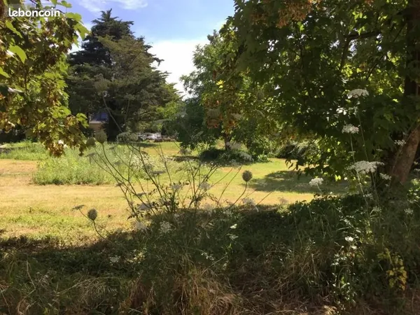 Terrain 445 m² Distre