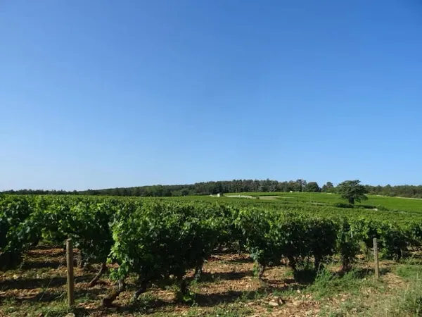 Terrain à bâtir 2800 m²