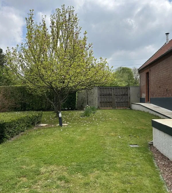 Photo 14