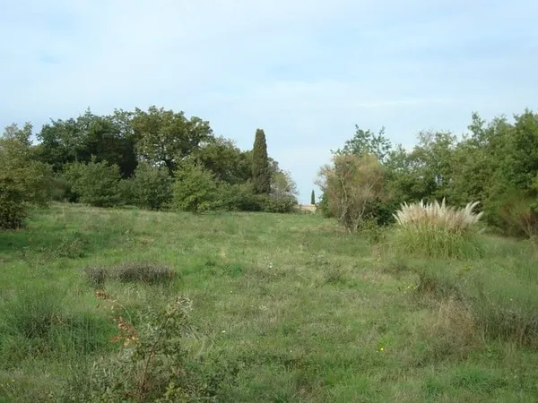 Terrain 217 m²