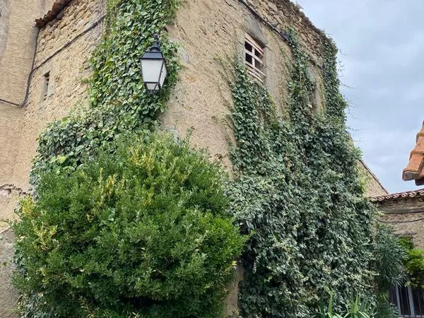 Partie de château avec garage et petit jardin