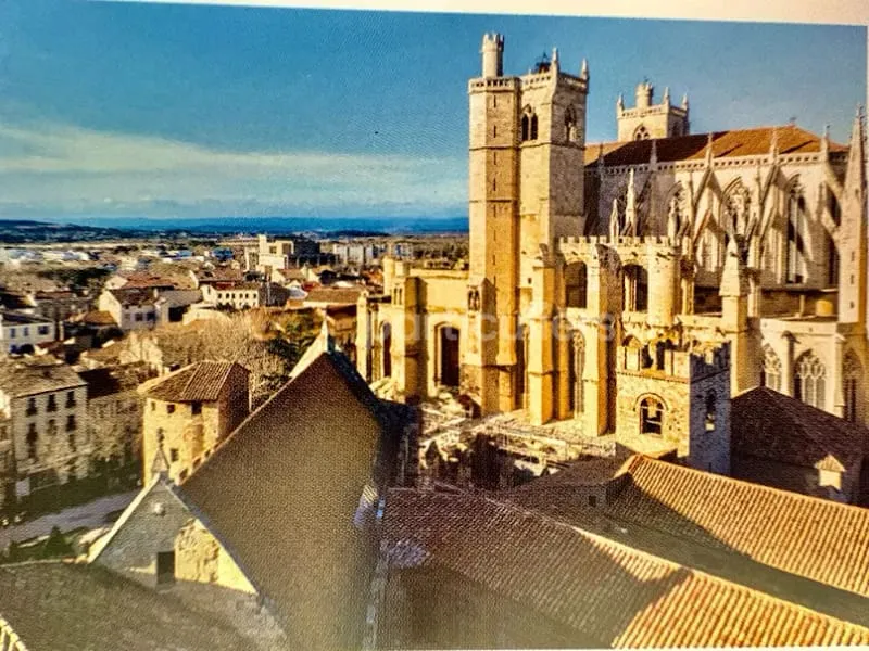 Photo 5