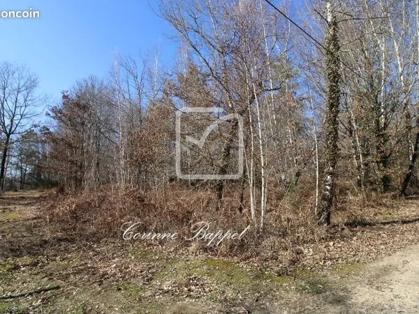 Terrain 2000 m² Sarliac-sur-l'Isle