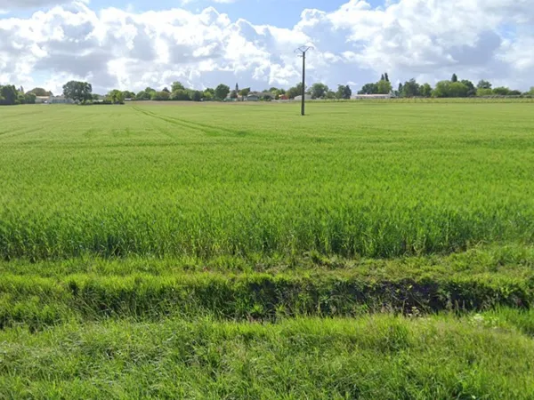Terrain 390 m²